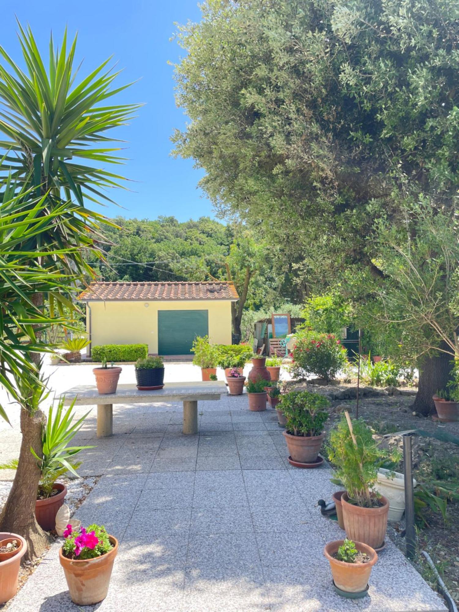 Il Leccio Agriturismo Fiorino Esterno foto