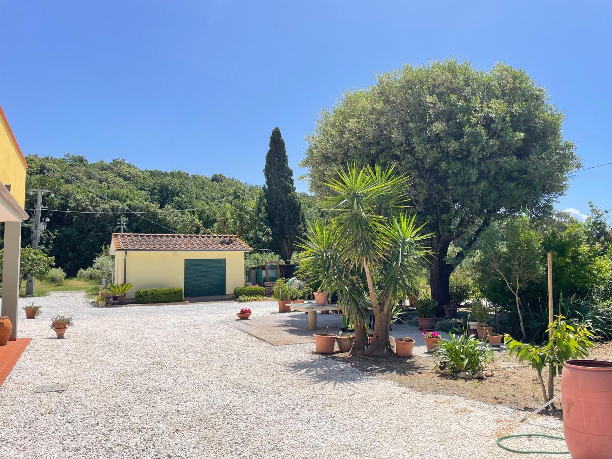 Il Leccio Agriturismo Fiorino Esterno foto