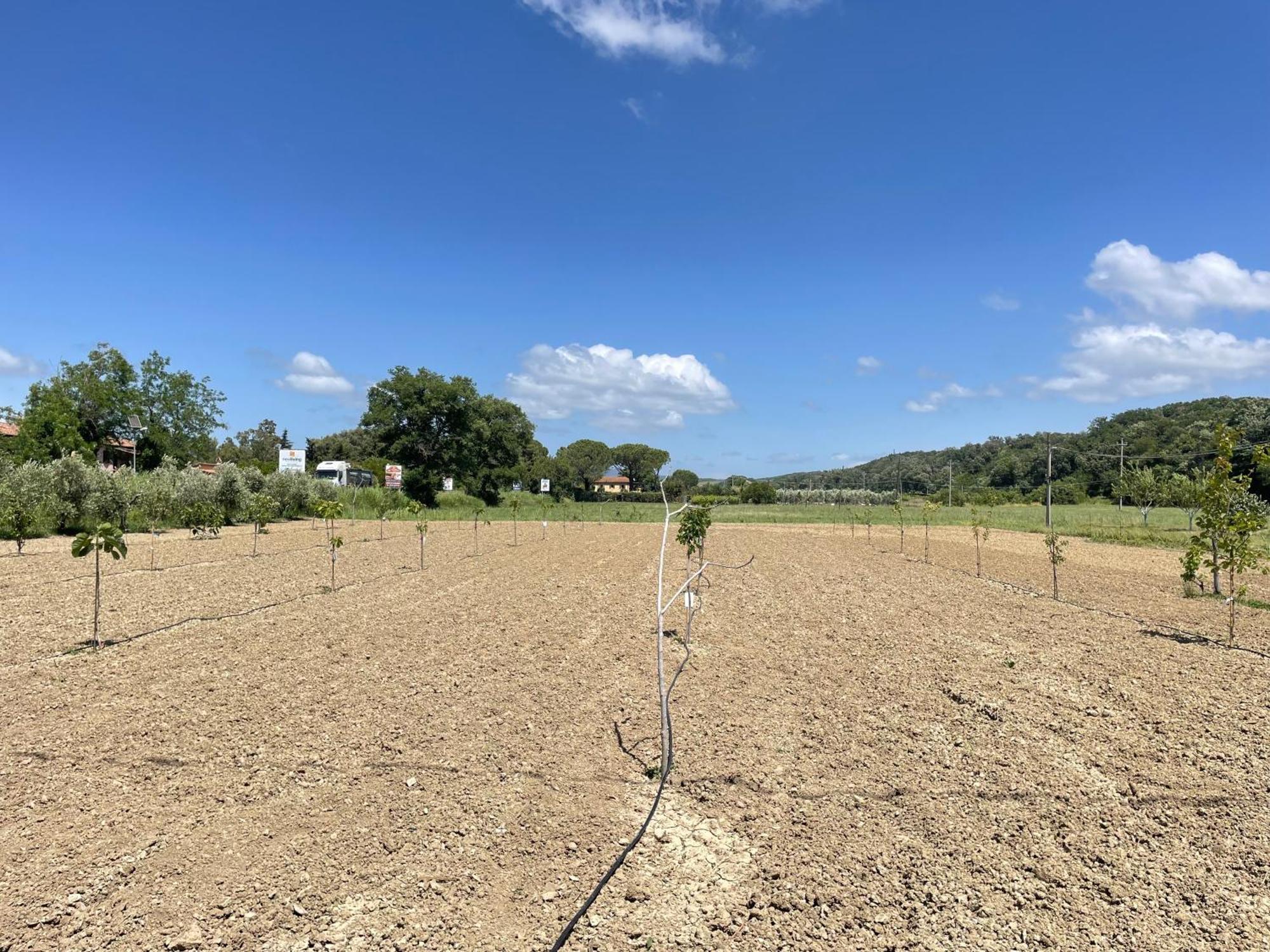 Il Leccio Agriturismo Fiorino Esterno foto