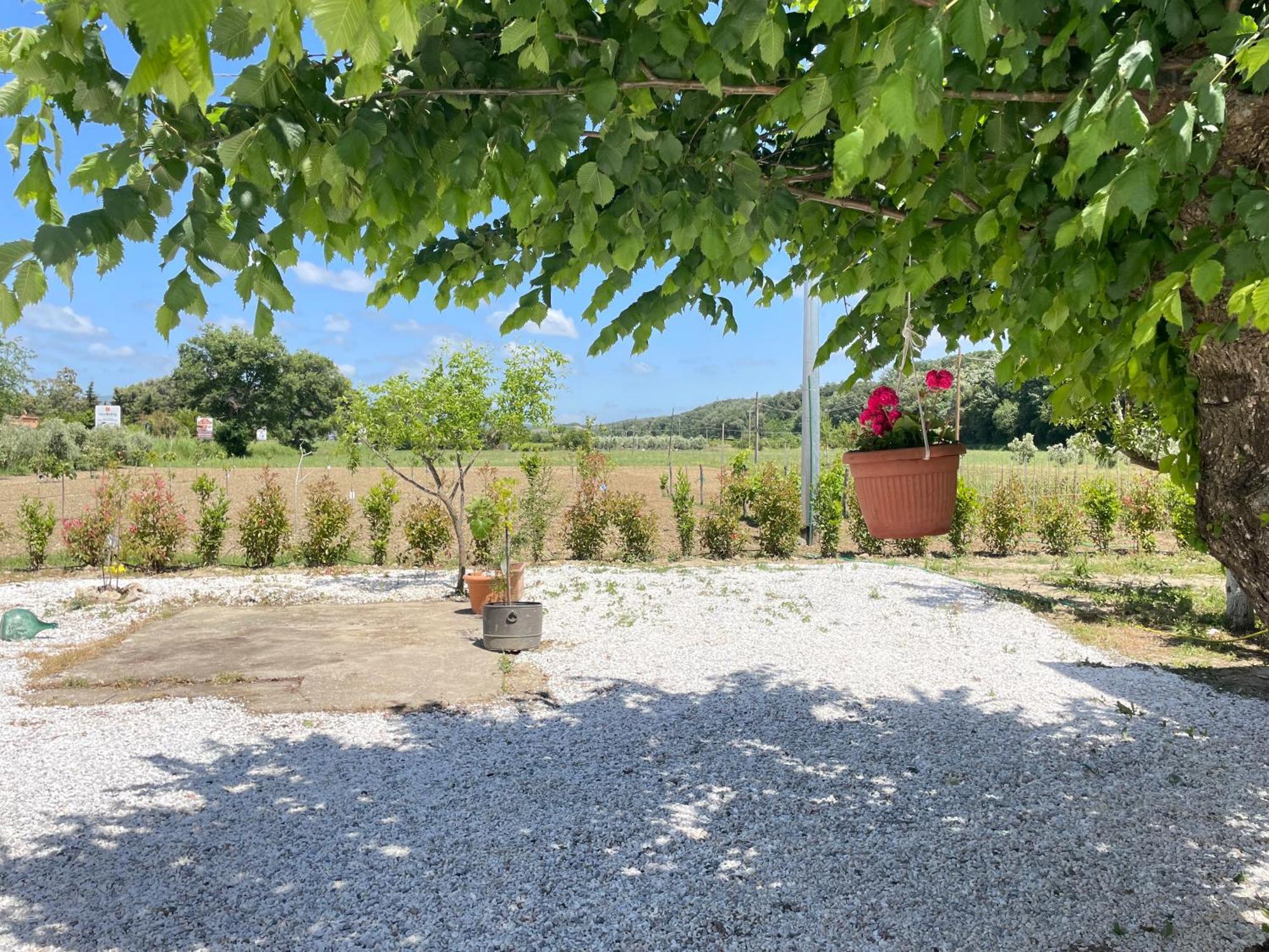 Il Leccio Agriturismo Fiorino Esterno foto
