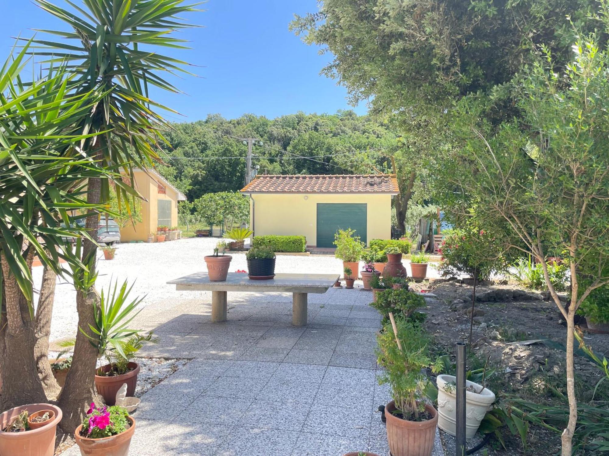 Il Leccio Agriturismo Fiorino Esterno foto