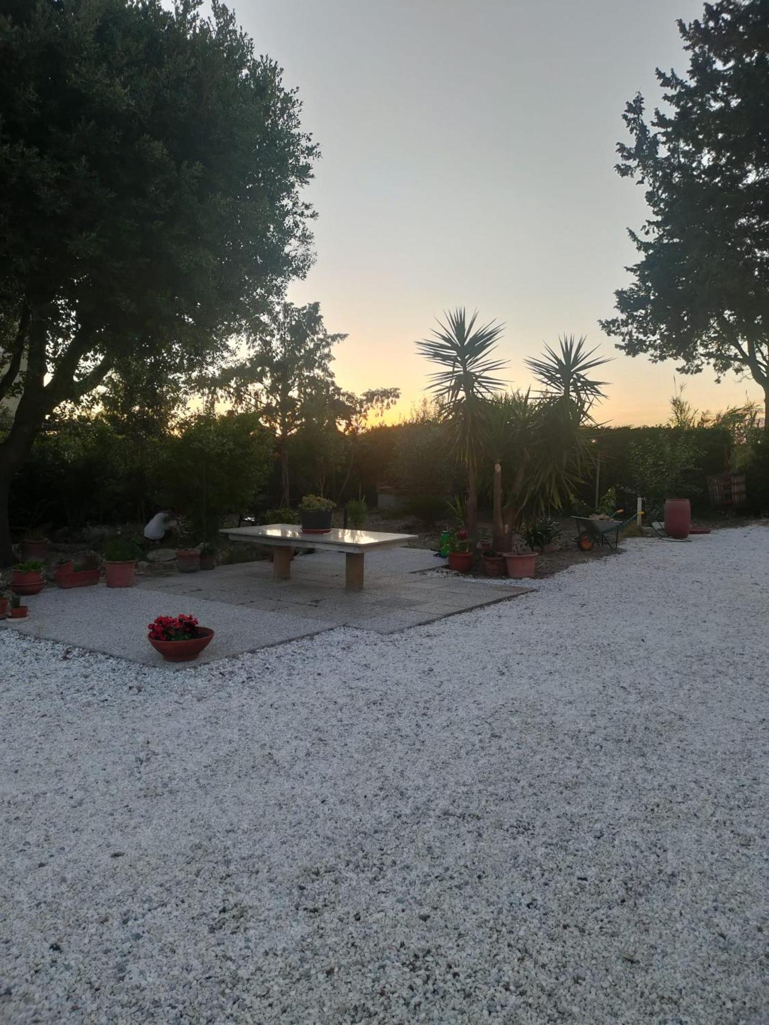 Il Leccio Agriturismo Fiorino Esterno foto