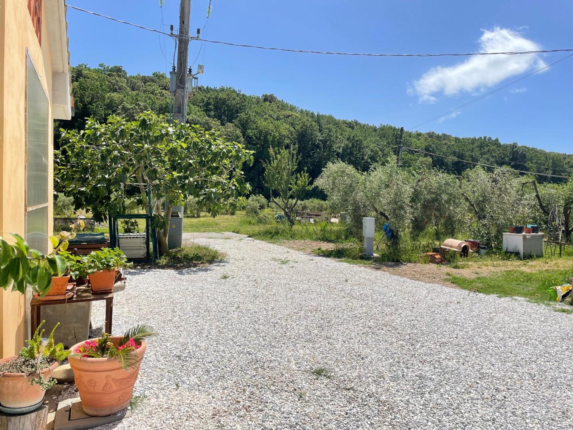 Il Leccio Agriturismo Fiorino Esterno foto