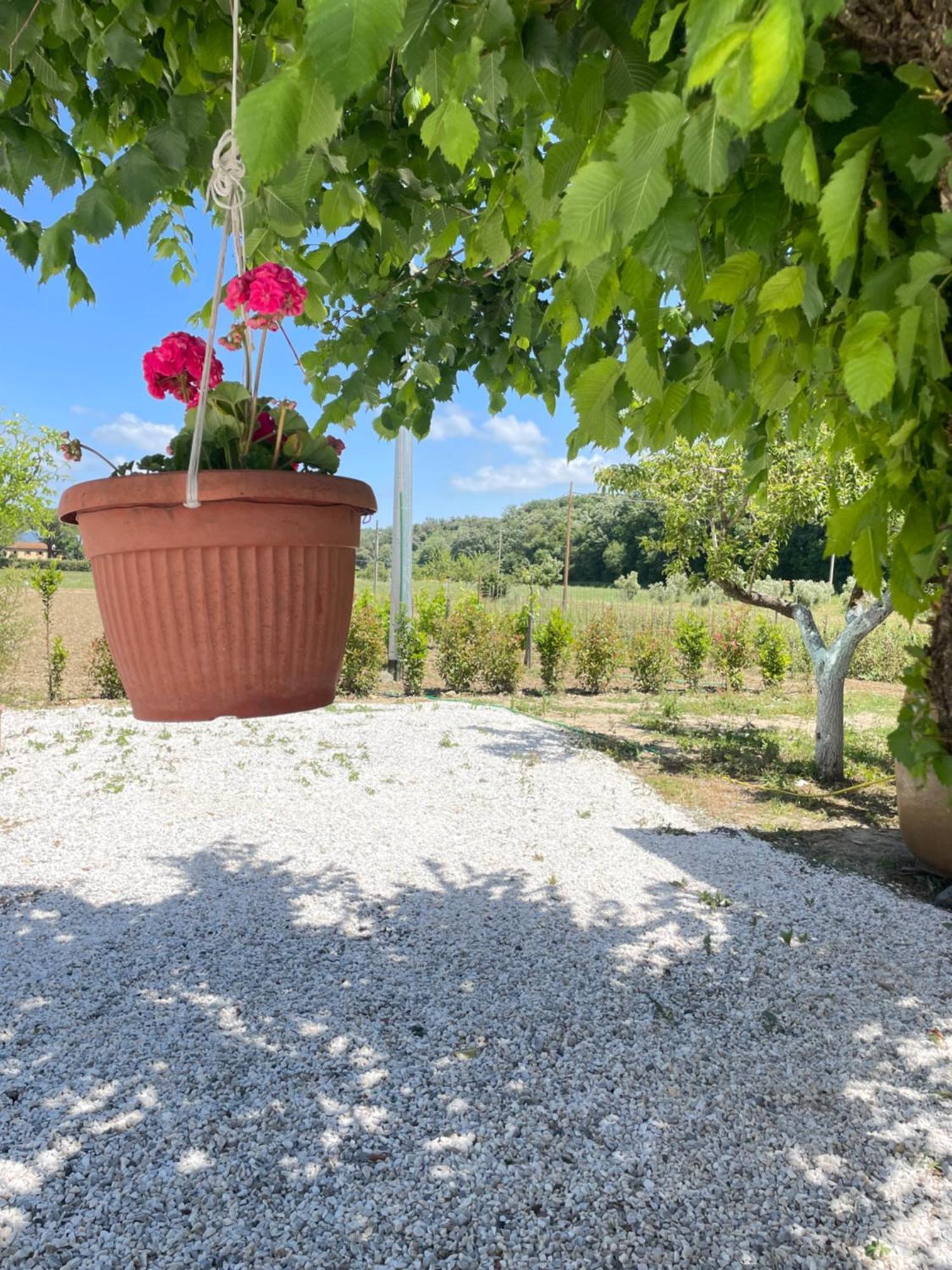 Il Leccio Agriturismo Fiorino Esterno foto