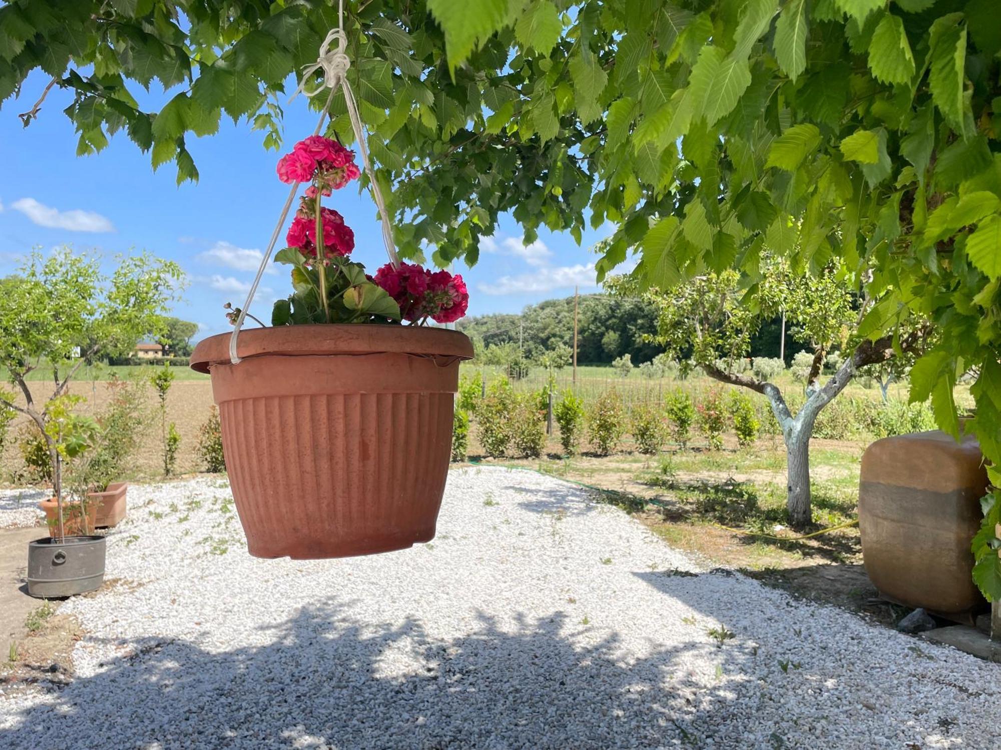 Il Leccio Agriturismo Fiorino Esterno foto