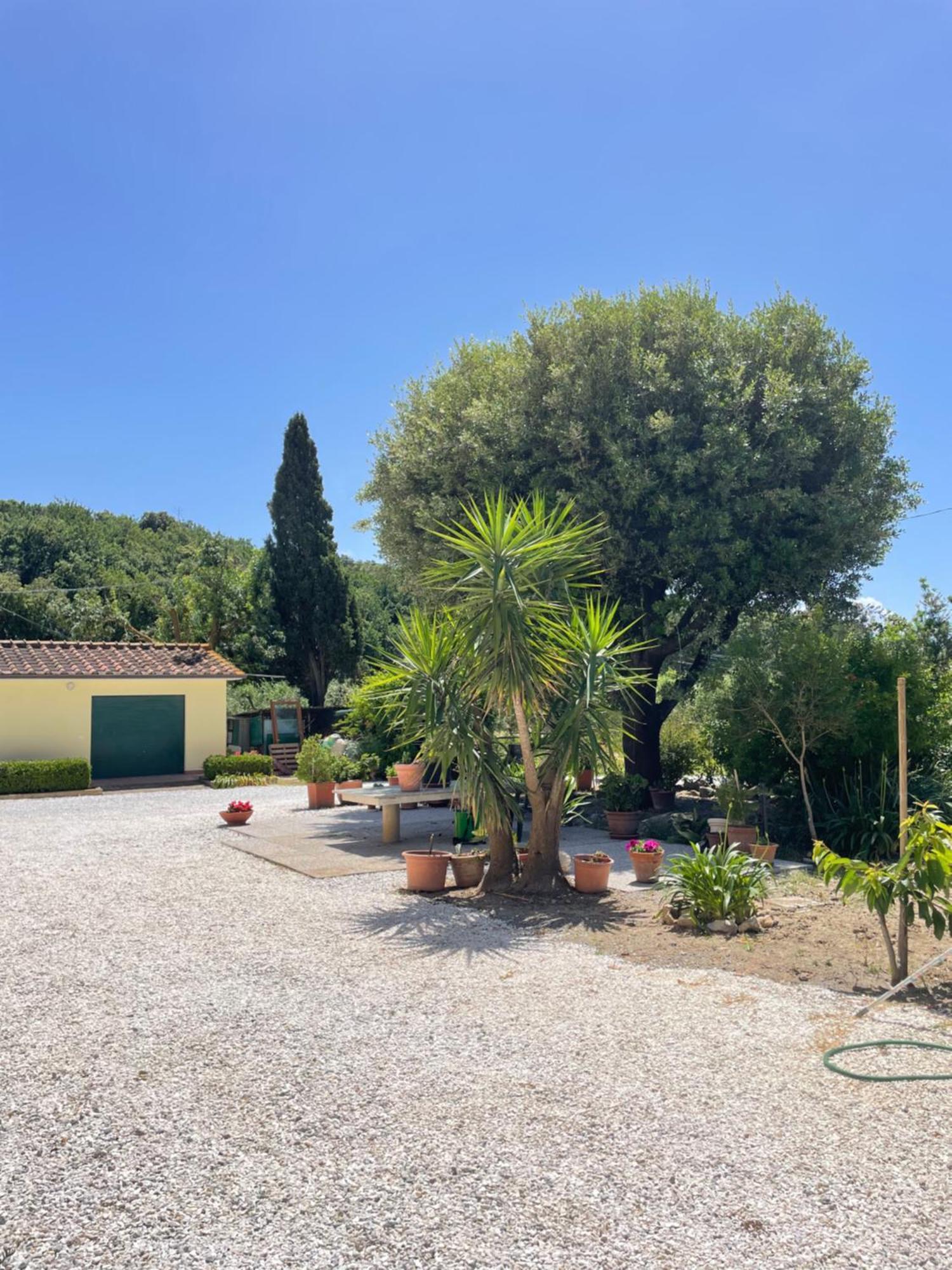 Il Leccio Agriturismo Fiorino Esterno foto