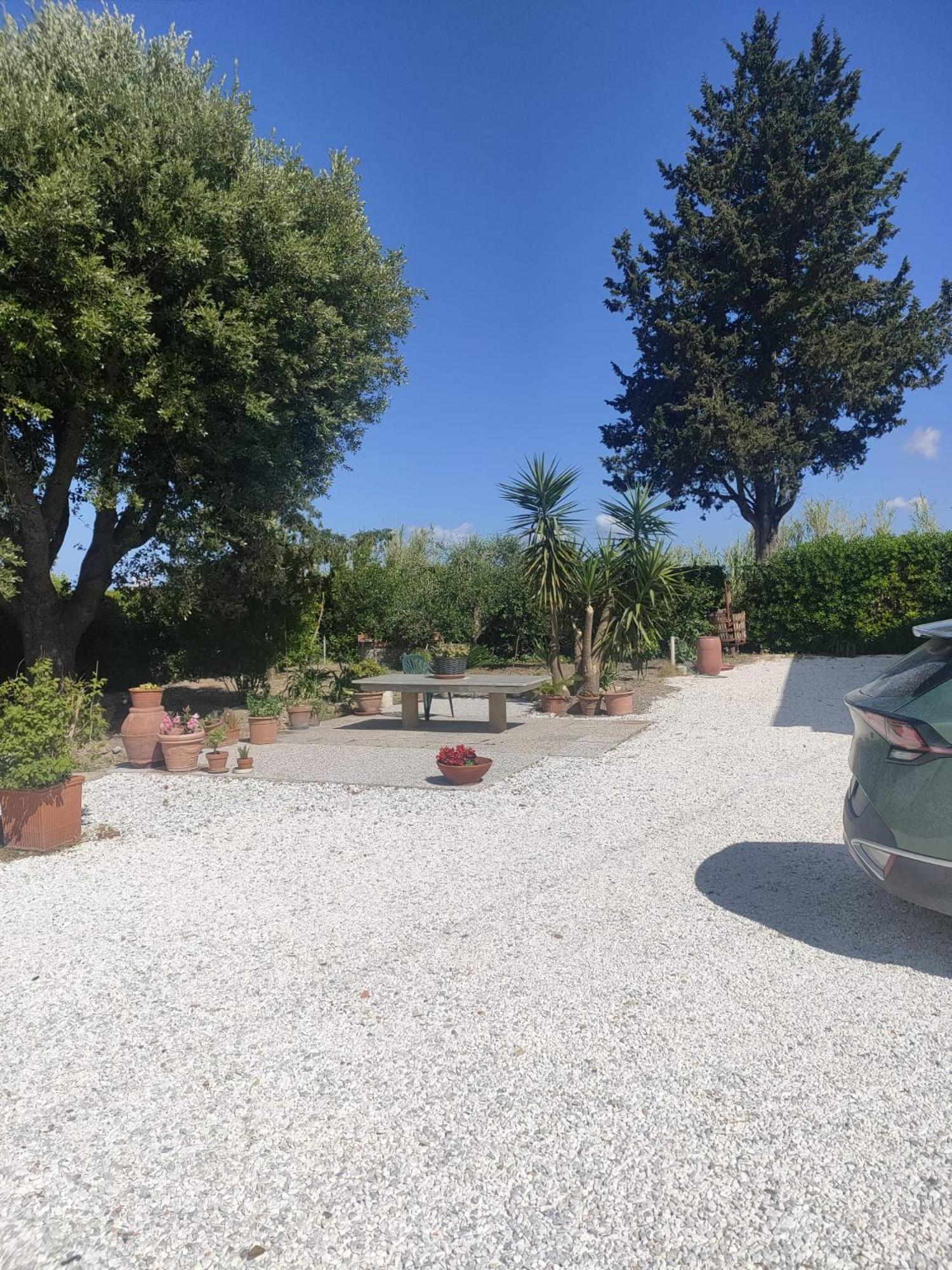 Il Leccio Agriturismo Fiorino Esterno foto