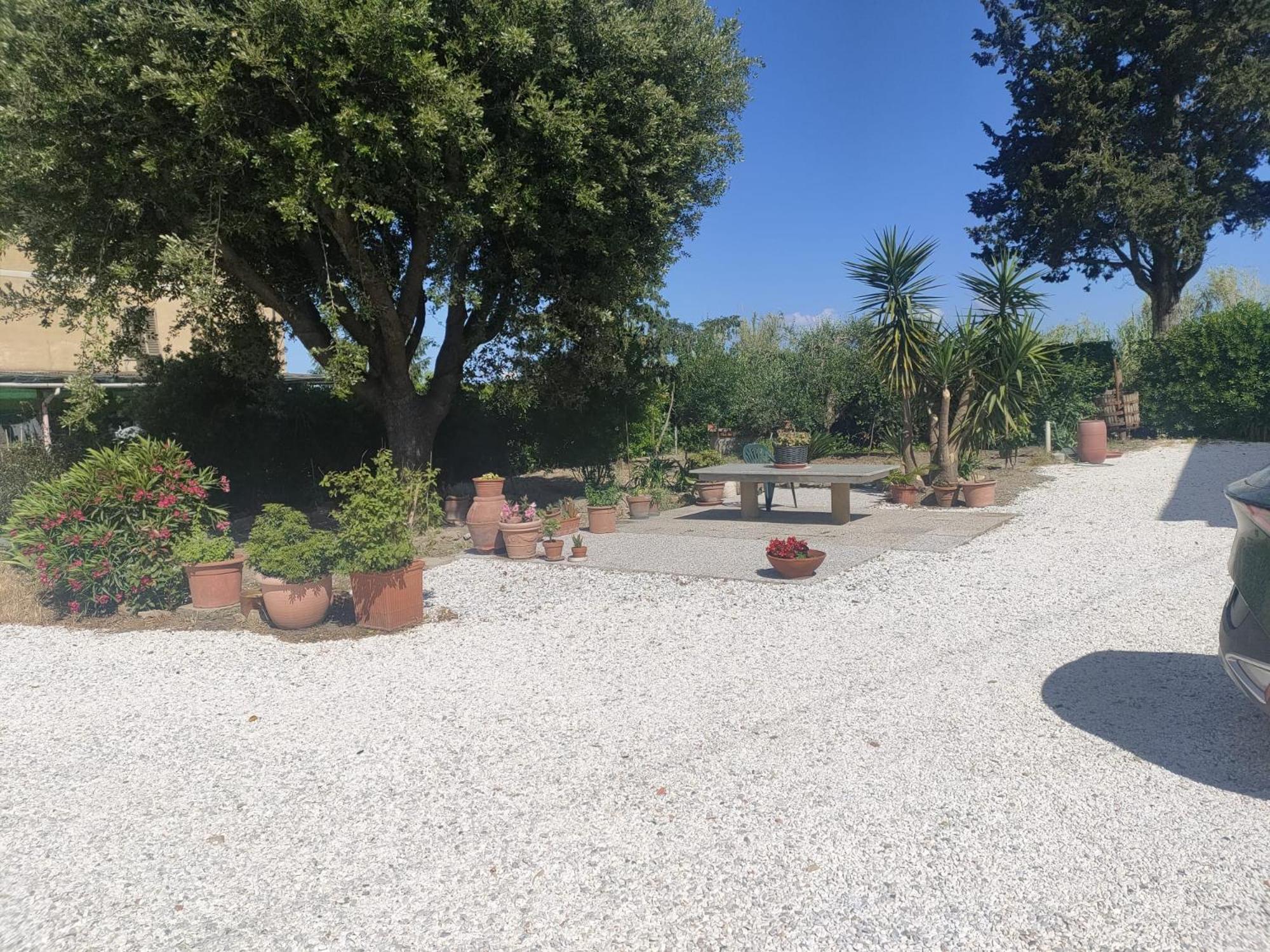 Il Leccio Agriturismo Fiorino Esterno foto