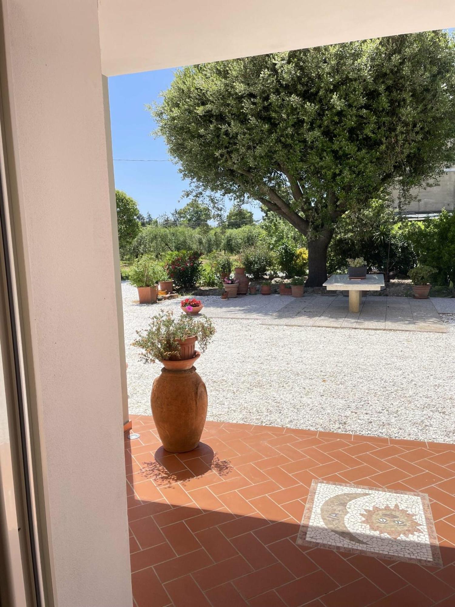 Il Leccio Agriturismo Fiorino Esterno foto